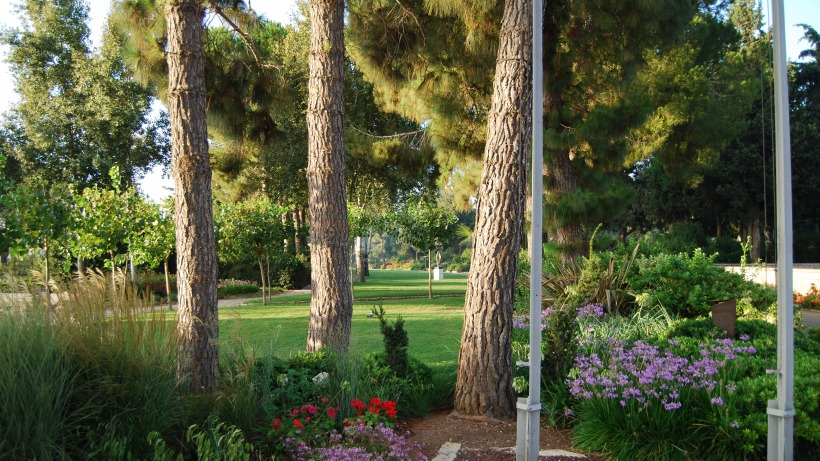 The Open-air Campus Museum