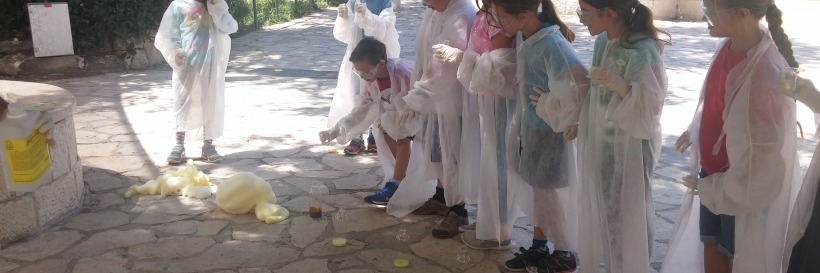 Summer camps 